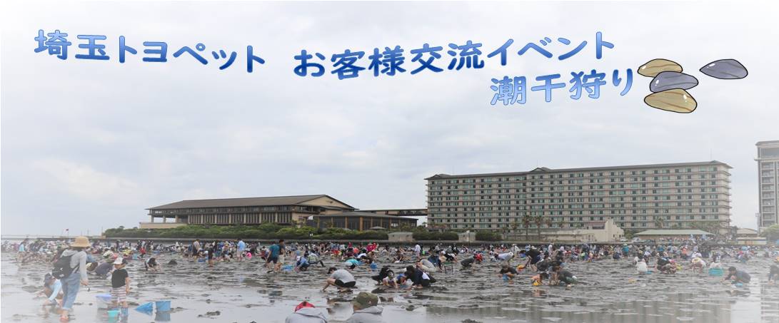 潮干狩り 写真