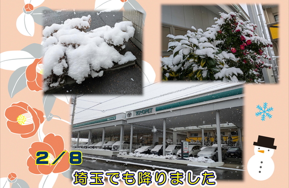 戸田支店 ブログ一覧 埼玉トヨペット株式会社 | トヨタ自動車WEBサイト